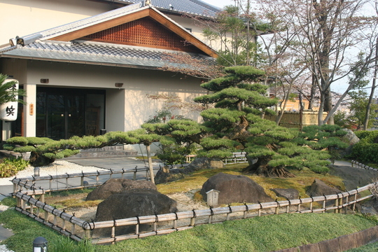 藤井寺市の炭火焼ステーキ・ハンバーグレストラン BigJoe